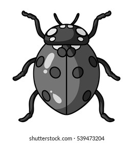 Ladybug icon in monochrome style isolated on white background. Insects symbol stock vector illustration.