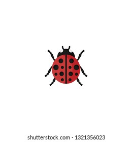 ladybug icon on a white background