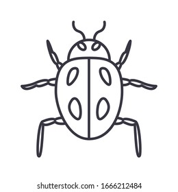 ladybug icon over white background, line detail style, vector illustration