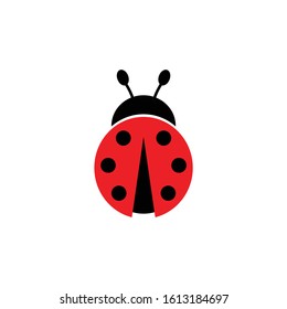 Ladybug Icon, Transparent Ladybug.PNG Images & Vector - FreeIconsPNG