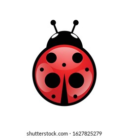 ladybug icon in red vector illustration on white