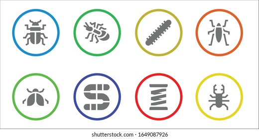 conjunto de iconos de ladybug. 8 iconos de ladybug rellenos. Iconos de escarabajo, buitre, hormiga, gusano, centípedo, primavera, insectos incluidos