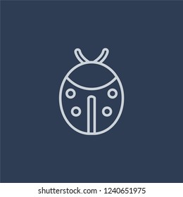 Ladybug icon. Trendy flat vector line Ladybug icon on dark blue background from animals collection. 