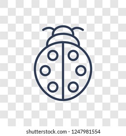Ladybug icon. Trendy linear Ladybug logo concept on transparent background from animals  collection