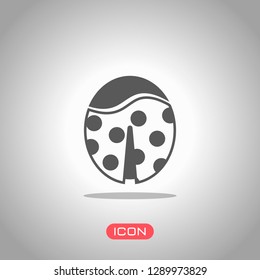 Ladybug icon. Icon under spotlight. Gray background