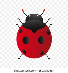 ladybug icon vector, 3d animal icon 