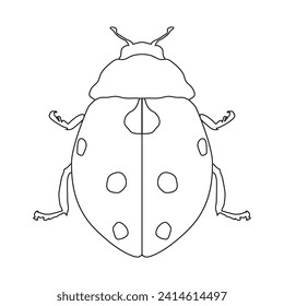 ladybug icon vector illustration design