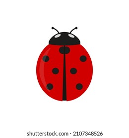 Ladybug icon. Vector illustration. Flat design. Isolated.