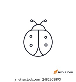 Ladybug icon vector illustration. Ladybug symbol isolated on white background