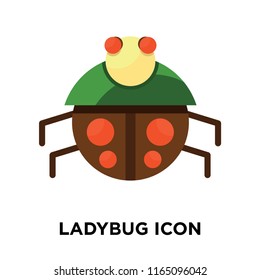 Ladybug icon vector isolated on white background, Ladybug transparent sign , colorful symbols