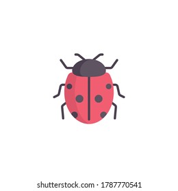 Ladybug icon vector on a white background