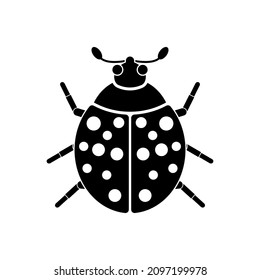 ladybug icon, ladybug vector sign symbol