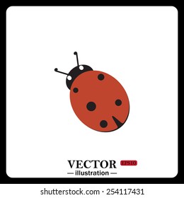ladybug icon vector sign symbol