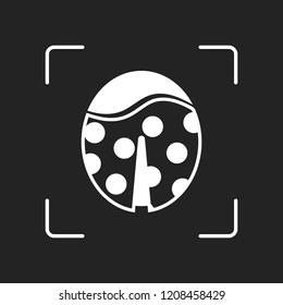 Ladybug icon. White object in camera autofocus on dark background