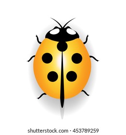 Ladybug icon, yellow ladybug with five black dots. Vector illustration