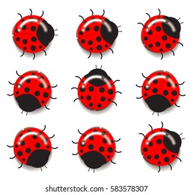 Ladybug icons. Flat designed round ladybugs with glares and shadows, crawling in different directions. Simple vector decoration.