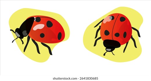 Ladybug Illustration, Cute Cartoon Beetles, Red Bug Clipart, Summer Insect Art, Vector Ladybird Drawing