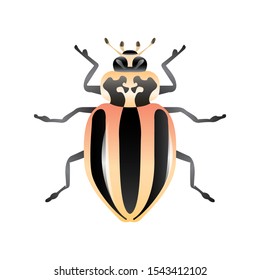ladybug illustration with golden and black colors. drawing of a type of insect with an isolated white background.