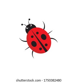 ladybug illustration logo vector design