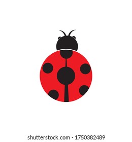 ladybug illustration logo vector design