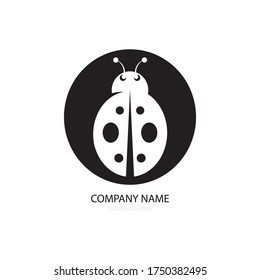 ladybug illustration logo vector design