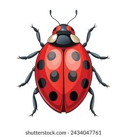 Ladybug illustration on White Background
