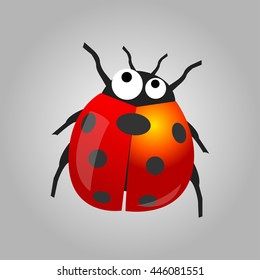 Ladybug Illustration and Vector Design