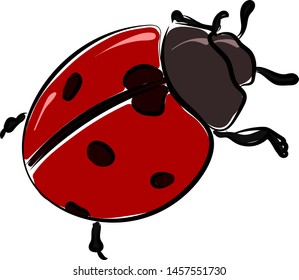 Ladybug, illustration, vector on white background.