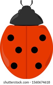 Ladybug, illustration, vector on white background.