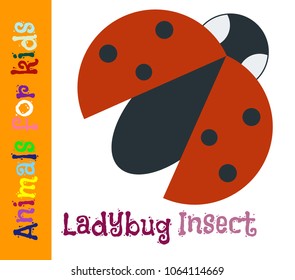 Ladybug. Insect. Animals for children. Cards for the development of the youngest children with the image of animals, birds, insects, reptiles. Vector. Color picture