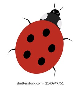 Buitre. Un insecto con manchas negras en la espalda roja. Ilustración del vector de color. Una criatura linda con bigote. Vista desde arriba. Fondo aislado. Estilo plano. 