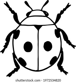 ladybug. Insect collection isolated on white. Vector illustration. set of illustrations. pests, beetles, insects, animals. black and white image