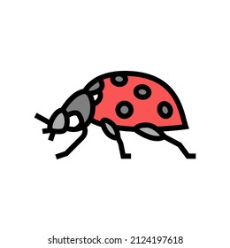 ladybug insect color icon vector. ladybug insect sign. isolated symbol illustration