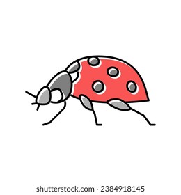 ladybug insect color icon vector. ladybug insect sign. isolated symbol illustration