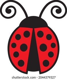 Ladybug insect color vector illustration