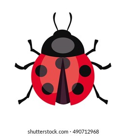 Ladybug insect. Color vector illustration
