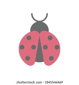 ladybug insect flat style icon vector illustration design