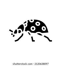 ladybug insect glyph icon vector. ladybug insect sign. isolated contour symbol black illustration