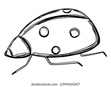 Ladybug insect in hand drawn outline style.