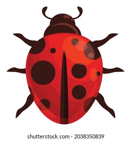 Ladybug insect icon cartoon vector. Spring bug. Forest beetle
