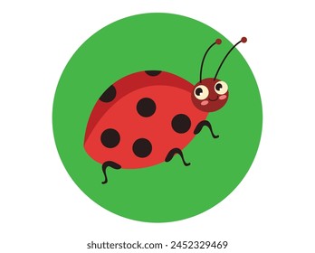 Ladybug insect isolated on white background concept. Vector graphic design illustration