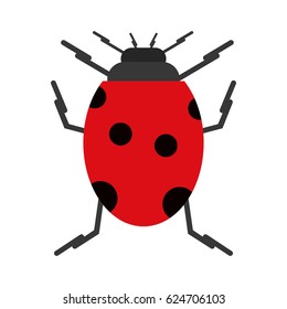 ladybug insect nature icon