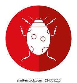 ladybug insect nature icon shadow
