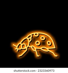 ladybug insect neon light sign vector. ladybug insect illustration