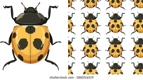 Ladybug insect and seamless background illustration