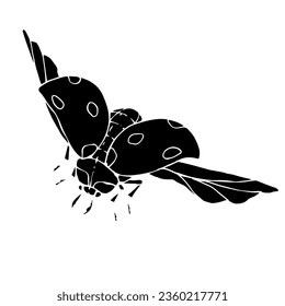 Ladybug insect silhouette. Vector graphics.