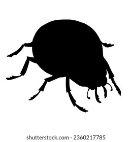 Ladybug insect silhouette. Vector graphics.