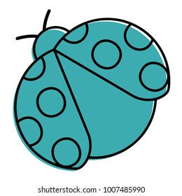 ladybug insect small icon animal