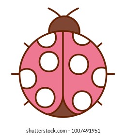 ladybug insect small icon animal