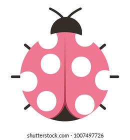ladybug insect small icon animal